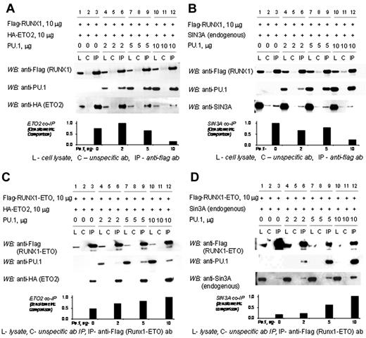 Figure 3. The corepressors SIN3A and ETO2 are excluded from the RUNX1/PU.1 complex but not the RUNX1-ETO/PU.1 complex. (A) Increasing concentrations of PU.1 decrease the amount of ETO2 coimmunoprecipitated with RUNX1. 293T cells were transfected with expression vectors for flag-RUNX1, HA-ETO2, and PU.1 in increasing amounts. In the absence of PU.1, ETO2 co-IPs with RUNX1 (lane 3). As PU.1 amounts are increased, PU.1 preferentially co-IPs with the RUNX1 and ETO2 is progressively excluded (lanes 6, 9, and 12). (B) Increasing concentrations of PU.1 decrease the amount of endogenous SIN3A coimmunoprecipitated with RUNX1. Sin3A co-IPs with RUNX1 in the absence of PU.1 (lane 3). As PU.1 concentrations are increased, PU.1 preferentially co-IPs with the RUNX1 and Sin3A is progressively excluded (lanes 6, 9, and 12). (C) Addition of PU.1 to RUNX1-ETO increases ETO2 recruitment. 293-T cells were transiently transfected with expression vectors for flag-RUNX1-ETO, ETO2, and increasing amounts of PU.1. Increasing amounts of PU.1 increased the amount of ETO2 in the RUNX1-ETO/PU.1 complex (lanes 6, 9, and 12). (D) Addition of PU.1 to RUNX1-ETO increases SIN3A recruitment. 293-T cells were transiently transfected with expression vectors for flag-RUNX1-ETO and increasing amounts of PU.1. Increasing amounts of PU.1 increased the amount of SIN3A in the RUNX1-ETO/PU.1 complex.