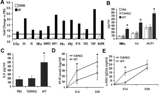 Figure 3. Innate immune response after liver gene transfer with scAAV2-hF.IX vector in TLR9−/− (TLR9KO) or WT C57BL/6J mice (n = 5 per group). (A) Fold-changes in hepatic mRNA levels (2 hours after vector administration) compared with PBS-injected mice of same strain are shown. A change > 2.5-fold (horizontal line) was considered greater than the variability of the assay. (B) Cytokine levels of TNF-α, IL-6, and MCP-1 in liver protein extract 2 hours after vector administration. (C) Systemic IL-6 levels 2 hours after vector administration. Systemic hF.IX levels (D) and antibody titers (IgG2a; E) against AAV capsid as a function of time after vector administration (average ± SD). PBS, WT control mice injected with PBS. *P < .05 as calculated by 2-tailed Student t test (comparison of WT and TLR9−/− mice).