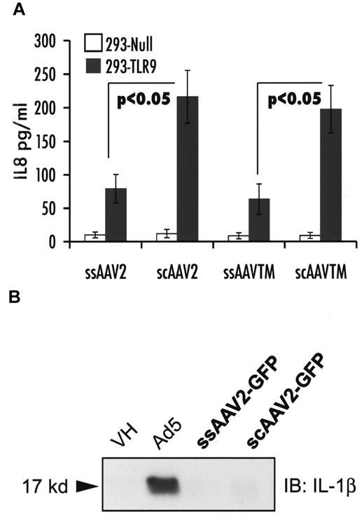 Figure 5. In vitro innate immune sensing of AAV vectors. (A) Strength of TLR9 signaling as determined by levels of IL-8 secretion by HEK-293-null and -293-TLR9 cells 6 hours after infection with ssAAV2-GFP or scAAV2-GFP or ssAAV-TM-hF.IX or scAAV-TM-hF.IX. (B) Activation of the inflammasome in THP-1 cells in response to adenovirus (positive control), ssAAV2-GFP, or scAAV2-GFP.
