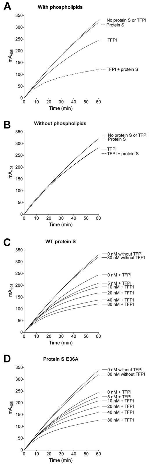 Figure 4. Effect of WT protein S and protein S E36A on TFPI cofactor activity through inhibition of FXa. Conversion of 200μM S-2765 by 0.5nM FXa was monitored by the absorbance at 405 nm in the presence (A) or absence (B) of 10μM phospholipids, 1nM TFPI, and 80nM WT protein S. The reaction was started on addition of FXa. WT protein S (C) and protein S E36A (D) were titrated (0-80nM) to the reaction containing 1nM TFPI (n = 3). Representative experiments are shown.