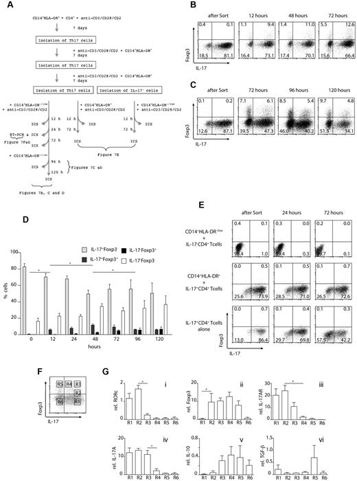 Figure 7. MDSC convert Th17 T cells to regulatory T cells. (A) Experimental setup: Th17 cells were isolated after 21 days of in vitro culture in the presence of CD14+HLA-DR+ cells. Th17 cells were incubated with CD14+HLA-DR−/low cells and analyzed at the indicated time points for the expression of IL-17 and Foxp3 by ICS. In control experiments, either Th17 cells were incubated with CD14+HLA-DR+ cells or IL-17− CD4+ T cells were stimulated in the presence of CD14+HLA-DR−/low cells. (B) Th17 T cells were incubated with CD14+HLA-DR−/low cells for 12, 24, and 72 hours and then analyzed for the expression of Foxp3 and IL-17 by intracellular FACS staining. (C) Th17 T cells were incubated with CD14+HLA-DR−/low cells. After 72 hours, CD14+HLA-DR−/low cells were added to the cultures and the expression of Foxp3 and IL-17 was analyzed on gated CD4+ T cells at the indicated time points. (D) Cumulative results of FACS analysis shown in panels B and C: Th17 T cells were incubated with CD14+HLA-DR−/low cells for the indicated time points and analyzed for the expression of Foxp3 and IL-17 by intracellular FACS staining. Data represent results from 4 independent experiments. Large-scale magnification is shown as supplemental Figure 2 (*P < .05). (E) IL-17− CD4+ T cells were coincubated with CD14+HLA-DR−/low cells and analyzed for the expression of Foxp3 and IL-17 after 24 and 72 hours (top row). Th17 T cells were incubated with CD14+HLA-DR+ cells and CD4+ T cells were analyzed for the expression of Foxp3 and IL-17 after 24 and 72 hours (middle row). Th17 cells were incubated in the absence of additional CD14+ cells (bottom row). Results shown are representative of at least 2 independent experiments. (F-G) Th17 cells were isolated as described and cultured with CD14+HLA-DR−/low cells for 24 hours. Quantitative PCR was performed on different gates as shown in panel F. Relative mRNA expression levels for the indicated genes in cells isolated from 6 different gates (R1-R6) are shown. Shown are cumulative results of 2 independent experiments.
