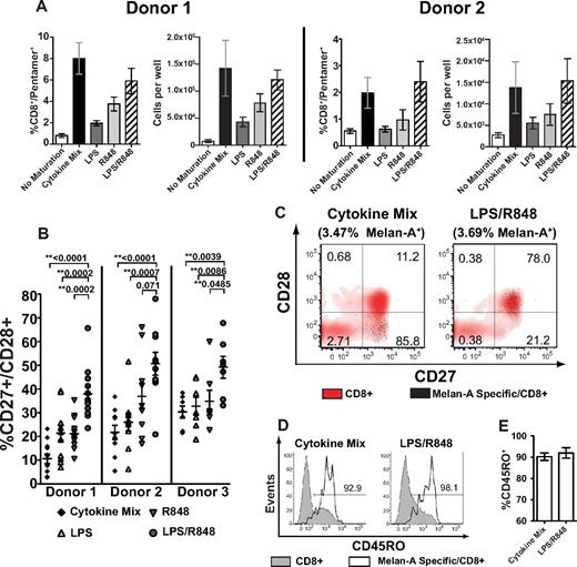 Figure 3. DCs matured with TLR4 and TLR7/8 agonists together prime an antigen-specific response containing an increased number of CD28+ CD8+ T cells. Monocyte-derived DCs were matured with LPS, R848, LPS + R848, or the cytokine cocktail together with Melan-A26-35 peptide, and subsequently cultured with purified naive (CD45ROneg) autologous CD8+ T cells. Quantitation and phenotyping of Melan-A specific CD8+ T cells was performed 9 days after priming. (A) Representative data from 2 donors showing the mean frequency and absolute number of CD8+/Melan-A pentamer+ cells after priming by the indicated DC population (± SEM). (B) Representative data from 3 donors showing the percentage of CD27+/CD28+ of CD8+/Melan-A pentamer+ cells primed by Cytokine Mix, LPS, R848, or LPS/R848 matured DCs. Data points indicate individual priming wells measured from 3 (donor 1) or 2 (donors 2 and 3) independent experiments, and lines indicate means ± SEM. (C) Representative flow cytometric analysis of CD27/CD28 surface expression on Melan-A pentamer+ CD8+ cells superimposed on CD8+ pentamer-negative cells within the same priming well. Percentages represent the proportion of each subset within CD8+/Melan-A+ cells. (D) Representative CD45RO surface expression on Melan-A pentamer+ CD8+ cells overlaid on CD8+ pentamer-negative cells with the percentage of CD45RO+/CD8+/Melan-A+ cells indicated. (E) Mean percentage of CD45RO+ of CD8+/Melan-A+ cells from 3 donors primed by the indicated DCs ± SEM. **Statistically significant differences with P values shown.