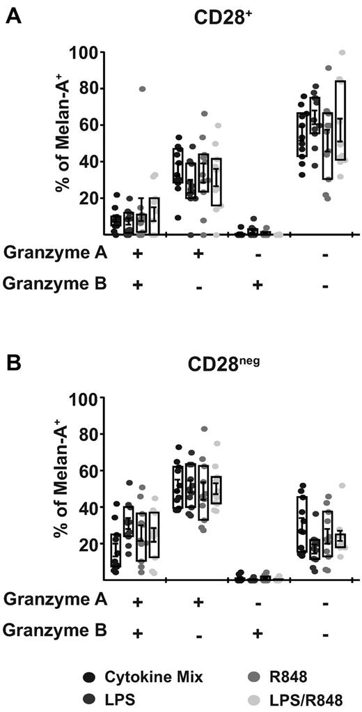 Figure 5. CD28neg population primed by DCs matured with either TLR or cytokines contains a higher proportion of granzyme-expressing, Melan-A specific CD8+ T cells. T cells primed by the indicated DCs were stained for the denoted surface molecules and then permeabilized for intracellular staining of granzyme A and B 9 days after priming. The expression of granzyme A and/or B is shown on the x-axis and bars indicate the mean percentage of Melan-A pentamer+/ CD8+ T cells expressing the granzymes (± SEM). Intracellular granzyme expression was evaluated in Melan-A pentamer+/CD8+ T cells segregated into CD28+ (A) or CD28neg (B) populations. Boxes indicate the interquartile range (± SEM) and points indicate individual priming wells. Data are combined from 2 donors generated in independent experiments and a total of 11 individual priming wells per condition. Statistical analysis showed no significant differences between groups.