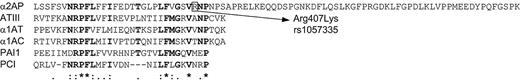 Figure 1. Alignment of serpins. Shown are the C-termini with the location of polymorphism Arg407Lys in α2AP. Residues in bold show identical (*), conserved (:) or semiconserved (.) substitutions. ATIII indicates antithrombin III; α1AT, α-1-antitrypsin; α1AC, α-1-antichymotrypsin; PAI1, plasminogen activator inhibitor 1; and PCI, protein C inhibitor. The alignment was made with ClustalW2.30