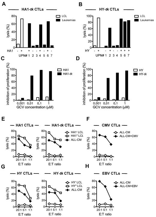 Figure 4. Cytotoxicity of tk+ mH antigen-specific CTLs against leukemia and suicide induction by GCV administration in vitro. (A) The cytotoxicity of tk+ HA-1–specific CTLs (HA1-tk CTLs) generated from an HLA-A2pos/HA-1neg representative donor (HA1-tk #1) was evaluated against different HLA-A2pos targets, including lymphoblastoid cell lines (LCL, □) and patient-derived leukemic cells typed for HA-1 (negative if R/R, positive if H/R or HH) and is expressed as the percentage of lysis at a 20:1 effector-to-target ratio. (B) The cytotoxicity of tk+ H-Y-specific CTLs (HY-tk CTLs) generated from an HLA-A2pos/H-Yneg representative (female) donor (HY-tk #1) was evaluated against different HLA-A2pos targets, including lymphoblastoid cell lines (LCL, □) and leukemic cells derived from female (HY negative) or male (HY positive) patients and is expressed as the percentage of lysis at a 20:1 effector-to-target ratio. (C) Suicide induction on HA1 and HA1-tk CTLs at increasing concentrations of GCV (x-axis) is expressed as GCV sensitivity (y-axis, see “Functional characterization of human mH antigen-specific CTLs”). Results from the HA1-tk #1 donor are shown. (D) Suicide induction was also assayed on HY and HY-tk CTLs. Results from the donor HY-tk #1 donor are shown. (E) The cytotoxicity of HA1-specific CTLs generated either from PBLs (HA1 CTLs) or from tk+ T cells (HA1-tk CTLs) of the HA1-tk #1 donor is expressed as the percentage of lysis (y-axis) at different effector-to-target ratios (x-axis) against an HLA-A2pos/HA1neg lymphoblastoid cell line (HA1neg LCL, ◊), an HLA-A2pos/HA1pos LCL (HA1pos LCL, □), or ALL-CM leukemic cells (♦), which are HLA-A2pos/HA-1pos/H-Ypos. (F) The cytotoxicity of CMV-specific CTLs (CMV CTLs) generated from PBLs of the HA1-tk #1 donor is expressed as the percentage of lysis (y-axis) at different effector-to-target ratios (x-axis) against ALL-CM leukemic cells loaded (♦) or not (◊) with the CMV peptide used for generation. (G) H-Y–specific CTLs were generated from PBLs (HY CTLs) and from tk+ T cells (HY-tk CTLs) of the HY-tk #1 donor and characterized for cytotoxicity against leukemia using appropriate reagents and control cell lines. (H) EBV-specific CTLs (EBV CTLs) were generated from PBLs of the HY-tk #1 donor and characterized.