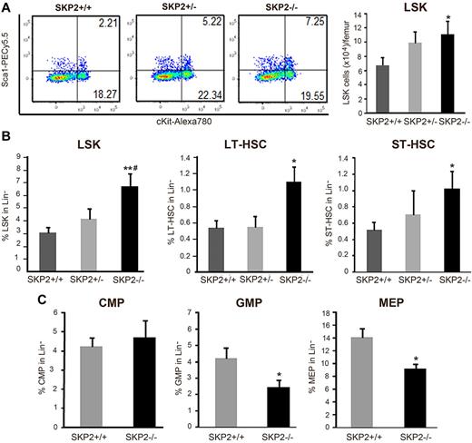 Figure 2. Loss of SKP2 increases the size of the LSK pool and decreases the number of hematopoietic progenitors. (A) Dot blots indicate the LSK population by showing Sca1 and c-Kit expression on Lin− cells in a representative experiment. Numbers indicate the percentage of cells in each quadrant. Bar graph on the right summarizes 8 independent experiments (n = 15-18). Values are average of absolute number of LSK cells per femur. (B) Bar graphs represent average percentage of each population in the gated Lin− population; n = 15-18. LSK cells are shown on the left and were further subdivided into LT-HSC (LSK IL7R−CD34−Flt3−; middle) and ST-HSC (LSK IL7R−CD34+Flt3+; right); n = 6-10. (C) LK cells (Lin− Sca1− c-Kit+ IL7R−) were analyzed for CD34 and FcγRII/III expression to determine CMP (CD34+ FcγRII/IIIlo), GMP (CD34+ FcγRII/IIIhi), and MEP (CD34− FcγRII/IIIlo) progenitors. Values indicate average percentages in the Lin− population; n = 11-15 mice. Data expressed as mean ± SEM *P < .05 vs Skp2+/+. **P < .005 vs Skp2+/+. #P < .05 vs Skp2+/−.