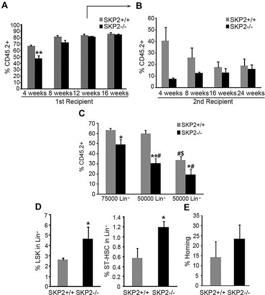 Figure 6. Loss of SKP2 results in defective short-term engraftment in competitive repopulation assays. CRA. BM CD45.2 Lin− cells purified from Skp2+/+ (gray bars) or Skp2−/− (black bars) mice were transplanted into lethally irradiated CD45.1 recipients together with 105 competitor cells (CD45.1). Analysis of CD45.2+ cells in PB was performed at 4, 8, 12, 16, and 24 weeks after transplantation. (A) Transplantation was performed with 7.5 × 104 donor cells. Bar graph represents average expression of CD45.2 donor cells in the PB. Each group n = 12-18 mice in 3 independent experiments. (B) Lin−CD45.2+ cells were sorted at week 12 after transplantation from primary recipients and 7.5 × 104 donor cells transplanted in secondary recipients. Bar graph represents average expression of CD45.2 donor cells in the PB. n = 3 from a representative experiment. (C) Lin− CD45.2+ cells from Skp2−/− and Skp2+/+ mice were sorted and transplanted in recipients at decreasing doses: 7.5 × 104, 5 × 104, or 2.5 × 104. Bar graph represents average expression of CD45.2 donor cells in the PB. n = 4-6. #P < .05 vs 7.5 × 104 cells. $P < .05 vs 5 × 104 cells. (D) Analysis of the LSK (left) and ST-HSC (right) content in BM of recipients at week 12 after transplantation. n = 3 from a representative experiment. (E) Homing at 48 hours. Bar graph shows percentage of CD45.2+ donor cells recovered at 48 hours after transplantation of Lin− cells into CD45.1 recipients; n = 4 in 2 independent experiments. Data expressed as mean ± SEM *P < .05 vs Skp2+/+. **P < .005 vs Skp2+/+.