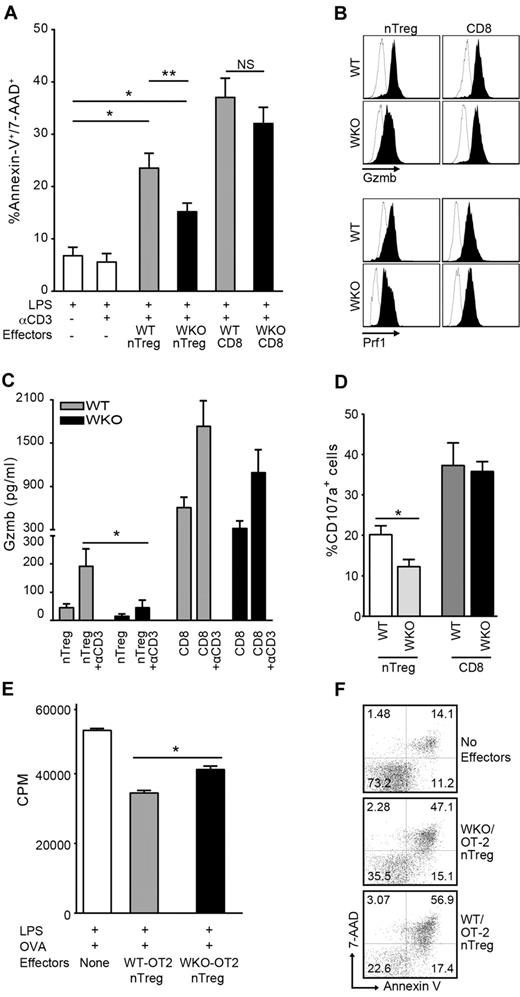 Figure 2. Defective B-cell death induction and granzyme B release by WKO nTreg cells. (A) Percentage of apoptotic B220+ cells after coculture of activated nTreg and CD8+ cells from WKO or WT mice with LPS-induced B-cell blasts at a ratio of 5:1 in the presence or absence of anti-CD3 antibody and LPS (0.5 μg/mL). Bar graph represents the results of 11 independent experiments expressed as mean ± SD. *P < .0001. **P < .05. NS indicates not significant. (B) Granzyme B (Gzmb) and perforin (Prf1) expression in WKO and WT preactivated nTreg and CD8+ cells. Open histograms represent isotype controls; and solid histograms, Gzmb- and Prf1-specific staining. Representative data from at least 3 independent experiments are shown. (C) ELISA determination of granzyme B (Gzmb) release in culture media by preactivated WT and WKO nTreg and CD8+ cells after restimulation with 2 μg/mL anti-CD3 antibody. Results are mean ± SD of 5 independent experiments. *P = .0260. Statistical significances of differences among samples were calculated using the 2-tailed Mann-Whitney test. (D) Percentage of CD107a+ after culture of WKO and WT-activated nTreg and CD8+ cells (5 × 104) with 2 μg/mL soluble anti-CD3 and irradiated T cell–depleted spleen cells (5 × 104) for 8 hours in the presence of FITC-anti–mouse CD107a or FITC-conjugated isotype control and GolgiStop (BD Biosciences PharMingen). After restimulation, the cells were stained with anti-CD107a, anti-CD4, and anti-CD8 and analyzed by flow cytometry. Results are mean ± SD of 3 independent experiments. *P = .0317. Statistical significances of differences among samples were calculated using the 2-tailed Mann-Whitney test. (E-F) Defective suppression of B-cell proliferation and LPS-induced B-cell blast killing by WKO-OT2 nTreg cells. (E) B cells (5 × 104) from WT mice were stimulated with LPS (3 μg/mL) and cocultured with equal number of preactivated nTreg cells from both WT or WKO mice in the presence of OVA323-339 peptide (10μM), and irradiated T-depleted APCs. Proliferation was then assessed as in Figure 1. (F) B-cell blasts were pulsed with OVA323-339 peptide (10μM) for 2 hours and cultured alone or with WKO or WT OT-2 nTreg cells at an effector-to-target ratio of 1:1 for 8 hours in the presence of LPS (0.5 μg/mL). Statistical significance of differences between samples was calculated using the Mann-Whitney test with 95% confidence intervals. Results are mean of triplicate cultures and are representative of at least 2 experiments.