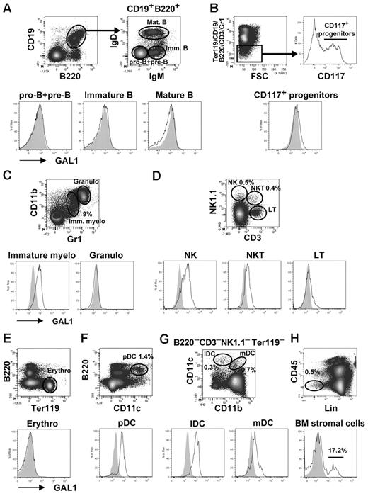 Figure 1. GAL1 expression in BM cells. Different BM subpopulations were analyzed for intracellular expression of GAL1 by flow cytometry. GAL1 intracellular staining in C57Bl/6 mice (unshaded) was compared with GAL1−/− mice as a negative control (shaded). The gating strategy is shown in the figure, and the cellular subsets were defined as follows: (A) Pro-B/pre-B (CD19+B220+IgM−IgD−), immature B (CD19+B220+IgM+IgD−), and recirculating B cells (CD19+B220+IgM+IgD+). (B) CD117+ hematopoietic progenitors (Ter119−CD19−B220−CD3−Gr1−CD117+). (C) Immature myeloid cells (CD11b+Gr1+), granulocytes (CD11bhiGr1hi). (D) NK (NK1.1+CD3−), NKT (NK1.1+CD3+), and T cells (NK1.1−CD3+). (E) Erythrocytes (Ter119+). (F) Plasmacytoid dendritic cells (CD11c+B220+). (G) Lymphoid DC (CD11c+CD11b−) and myeloid DC (CD11c+CD11b+). (H) BM stromal cells (CD45−Lin−). The lineage (Lin) staining corresponds to a mix of Ter119, CD19, CD11c, CD117, and Gr1.