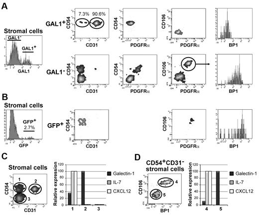Figure 4. GAL1- and IL-7–expressing stromal cells are distinct populations. (A) BM stromal cells from C57Bl/6 mice (n = 5) were analyzed by flow cytometry as described in Figure 1H and were further characterized using antibodies specific for CD54, CD31, PDGFRa, CD106, and BP1. The analysis of the stromal cells was performed on the GAL1+ and GAL1− cell populations. The gating strategy is shown in the figure. (B) CD45−Lin− stromal cells from IL-7-GFP reporter mice (n = 4) were analyzed by flow cytometry as described in panel A. The phenotypic analysis was performed on the GFP+ population. (C-D) BM stromal cells from C57Bl/6 mice were defined as shown in Figure 1H and were sorted by flow cytometry using, in addition, antibodies specific for CD54, CD31, CD106, and BP1. (C) mRNA was prepared from the CD54+CD31− (population 1), CD54+CD31+ (population 2), and CD54−CD31− (population 3) stromal cells (left panel). RT-PCR was performed using primers specific for GAL1, IL-7, and CXCL12 (right panel). (D) The CD54+CD31− population was further refined by cell sorting using anti-BP1 and anti-CD106 antibodies in 2 subpopulations: CD106+BP1+ (population 4) and CD106−BP1− (population 5). The RT-PCR was performed using primers specific for GAL1, IL-7, and CXCL12 (right panel). The results of RT-PCR are representative of 3 independent experiments.