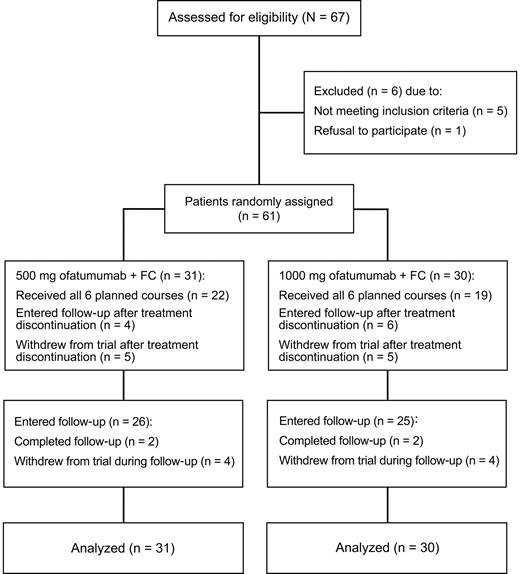 Figure 1. CONSORT (Consolidated Standards Of Reporting Trials) diagram. Phase 2 study of O-FC in previously untreated patients with CLL.