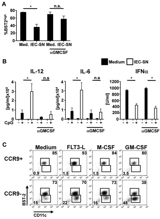 Figure 5. Role of GM-CSF for differentiation of CCR9− PDCs to CD11b+ MHCIIhigh CDC-like cells. Neutralizing antibody against GM-CSF (1 μg/mL) was added to IEC-SN or medium 2 hours before addition to FL-DCs for 48 hours (A-B). The percentage of BST2high PDCs of all CD11c+ cells was determined by FACS (A, mean ± SD, n = 3). CpG 2216 (0.5μM) was added after 24 hours, and cytokines were measured in the supernatants after further 24 hours (B, mean ± SD, n = 3). *P < .05. n.s. indicates not significant. CCR9+ and CCR9− PDCs sorted from primary BM cells were cultured with medium alone or medium supplemented with Flt3L (20 ng/mL), M-CSF (1 ng/mL) or GM-CSF (1 ng/mL) for 48 hours. Expression of CD11c and BST2 was measured by FACS. Results of one representative experiment are shown (C).