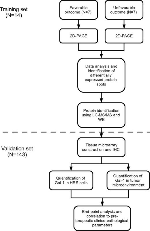 Figure 1. Flowchart describing the 2-step study strategy. Shown is the training-set analysis followed by the validation-set analysis. IHC indicates immunohistochemistry.