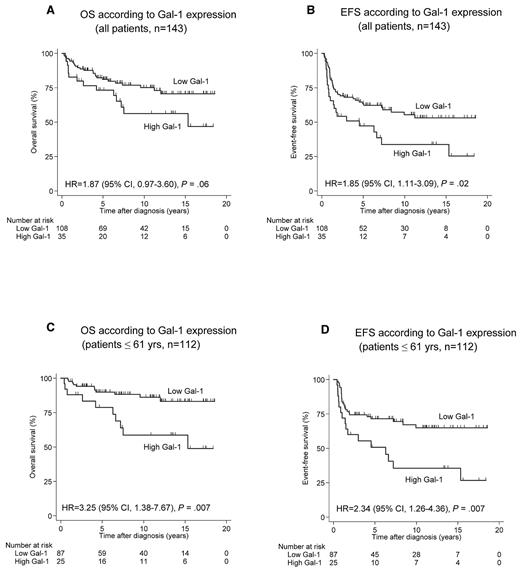 Figure 5. OS and EFS according to Gal-1 expression. (A-B) Analysis including all patients (n = 143). (C-D) Analysis restricted to younger patients (< 61 years, n = 112). HR indicates hazard ratio.