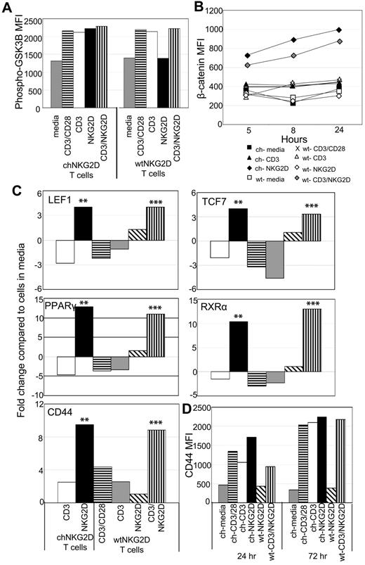 Figure 2. Activation of T cells through NKG2D and CD3 activates β-catenin. chNKG2D (ch) and wtNKG2D (wt) T cells were stimulated with media, anti-CD3/CD28–, anti-CD3–, anti-NKG2D–coated beads, or beads coated with both anti-CD3 and anti-NKG2D Abs. (A) Phosphorylated (Ser9) GSK3β expression in chNKG2D or wtNKG2D T cells was measured 30 minutes after stimulation. Data shown were obtained from 1 donor and are representative of data from 3 to 5 donors. (B) β-Catenin was measured with anti–β-catenin Abs at the indicated time points. Data shown were obtained from 1 donor and are representative of data from ≥ 3 donors. (D) Gene expression by chNKG2D and wtNKG2D T cells was determined by RT-PCR 8 hours after stimulation. Data are shown as the fold change in gene expression compared with T cells cultured in media. Stimulation of chNKG2D T cells through NKG2D significantly changed gene expression compared with CD3 stimulation (**P < .05), and stimulation through CD3 and NKG2D significantly changed gene expression compared with CD3 stimulation alone (***P < .05). Data shown were obtained from 1 donor and are representative of data from ≥ 4 donors. (D) ChNKG2D and wtNKG2D T cells were stimulated, and CD44 cell surface expression was determined by FACS after 24 or 72 hours. Data shown were obtained from 1 donor and are representative of data from ≥ 3 donors.