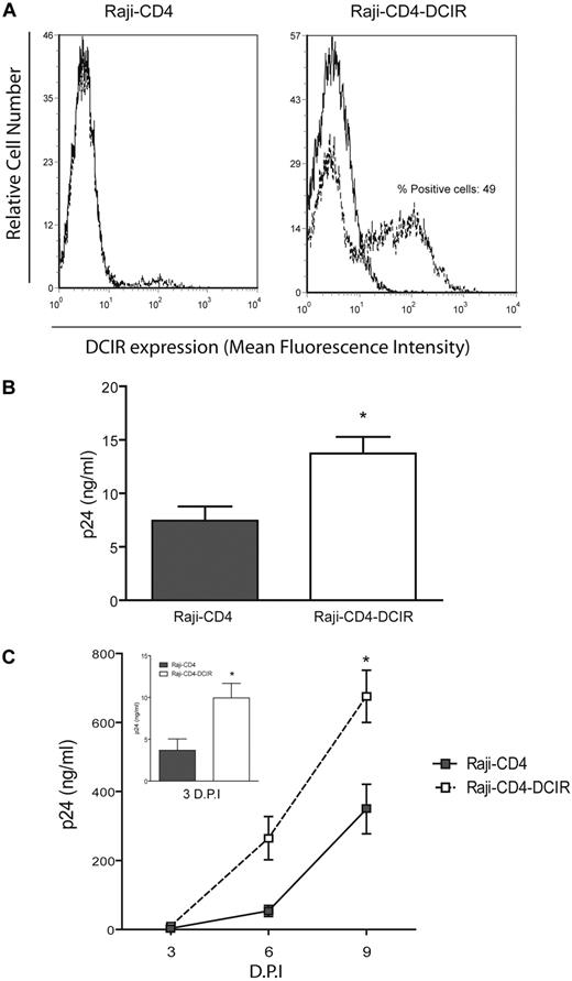 Figure 1. HIV-1 binding/entry and replication are increased in DCIR-expressing stable transfectants. (A) Raji-CD4 cells were infected with either a retroviral control vector (left) or a retroviral vector encoding for human DCIR (right). Forty-eight hours after transduction, cells expressing high levels of DCIR were isolated by flow cytometry based on eGFP expression. Surface expression of DCIR was monitored by flow cytometry using a combination of PE-labeled anti-DCIR antibody (dotted lines) and a control isotype-matched Ab (continuous lines). Data shown correspond to a single experiment representative of 3 independent experiments. (B) Raji-CD4 and Raji-CD4-DCIR cells were exposed to NL4-3 for 60 minutes. After 3 washes with PBS to remove nonadsorbed virus, cell-associated virus (attached and internalized) was quantified by measuring the p24 content. Data shown correspond to the means ± SD of triplicate samples from 3 independent experiments. (C) Raji-CD4 and Raji-CD4-DCIR were exposed to NL4-3 for 2 hours. After 3 washes with PBS to remove excess virus, cells were maintained in culture for up to 9 days. Cell-free culture supernatants were collected at the indicated time points and assayed for the p24 content. Data shown correspond to the means ± SD of triplicate samples from 3 independent experiments. The statistical significance of differences between Raji-CD4 and Raji-CD4-DCIR is denoted by asterisks: *P < .05. D.P.I. indicates days postinfection.