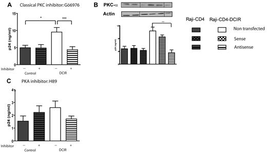 Figure 4. DCIR-mediated enhancing effect on HIV-1 binding/entry involves PKC-α. Experimental procedures used here are similar to those described for Figure 2 except that the following inhibitors and oligonucleotides were tested: (A) classic PKC inhibitor Gö6976 (1μM), (B) oligonucleotides specific for PKC-α, and (C) PKA inhibitor H89 (10μM). Data shown correspond to the means ± SD of triplicate samples from 3 combined independent experiments. The statistical significance of differences between untreated and treated cells or nontransfected and Raji-CD4-DCIR transfected with antisense oligonucleotides is denoted by asterisks: *P < .05; ***P < .001. After gene silencing, the diminution of the targeted protein was verified by Western blotting and actin was used as a loading control marker (provided as inserts for each graph). Vertical lines have been inserted to indicate repositioned gel lanes.