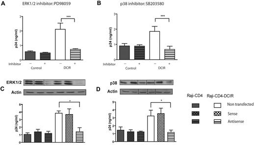 Figure 5. DCIR-mediated enhancing effect on HIV-1 binding/entry involves ERK1/2 and p38. Experimental procedures used here are similar to the ones described for Figure 2 except that the following inhibitors and oligonucleotides were tested: (A) ERK1/2 inhibitor PD98059 (20nM), (B) p38 inhibitor SB203580 (2μM), and oligonucleotides specific for (C) ERK1/2 and (D) p38. Data shown correspond to the means ± SD of triplicate samples from 3 combined independent experiments. The statistical significance of differences between untreated and treated cells or nontransfected and Raji-CD4-DCIR transfected with antisense oligonucleotides is denoted by asterisks: *P < .05; ***P < .001. After gene silencing, the diminution of the targeted protein was verified by Western blotting and actin was used as a loading control marker (provided as inserts for each graph). Vertical lines have been inserted to indicate repositioned gel lanes.