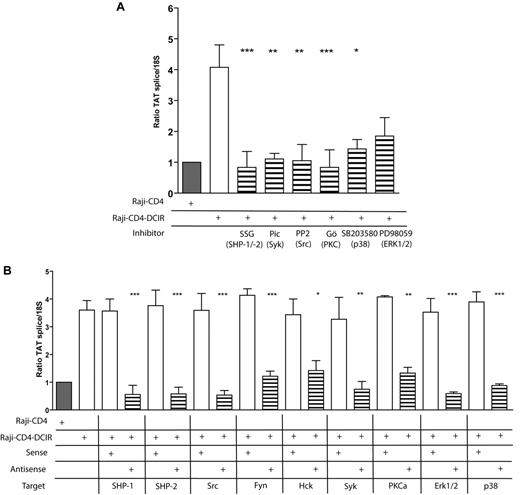 Figure 6. Signaling proteins responsible for the DCIR-mediated enhancing effect on HIV-1 binding/entry are also required to achieve a superior virus infection. (A) Raji-CD4 and Raji-CD4-DCIR were either left untreated or preincubated for 10 minutes with the tyrosine phosphatase inhibitor SSG (100μg/mL), Syk inhibitor piceatannol (10μM), Src inhibitor PP2 (10μM), classic PKC inhibitor Gö6976 (1μM), MAPK p38 inhibitor SB203580 (2 μM), or MAP kinase inhibitor PD98059 (20nM). (B) Raji-CD4 and Raji-CD4-DCIR were treated with Oligofectamine and then either left untreated or treated for 5 hours with sense or antisense oligonucleotides specific for the listed signaling proteins. Next, cells were exposed to NL4-3 for 24 hours. Virus infection was determined by real-time PCR of spliced Tat mRNA. Data shown correspond to the means ± SD of triplicate samples from 3 independent experiments. The statistical significance of differences between untreated and treated cells or nontransfected and Raji-CD4-DCIR transfected with antisense oligonucleotides is denoted by asterisks: *P < .05; **P < .01; ***P < .001.