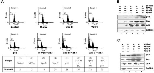 Figure 3. The functional effect of Vpu expression on p53-mediated apoptosis. (A) H-1299 (p53 null) cells were cotransfected with plasmids encoding p53 and either Vpu B, Vpu C, or M Vpu-HA. Then after 72 hours, cells were harvested, fixed, and stained with PI, and subG1 DNA content was determined by FACS to see relative proportion of apoptotic population that is summarized below the histograms. (B.) H-1299 cells were cotransfected with p53wt and Vpu B, Vpu C, or M Vpu-HA, and endogenous Bax levels were checked by immunoblotting analysis with the indicated Abs. (C.) H-1299 cells were cotransfected with indicated plasmids, and cell lysates were subjected to immunoblot analysis. This is a representative result obtained from 3 independent experiments.