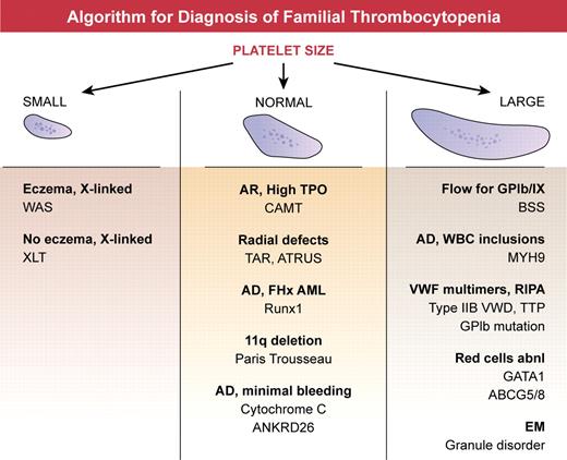 Algorithm for diagnosis of familial thrombocytopenia. Platelet size, best determined by review of the peripheral smear, is a readily available measurement and forms the basis of the initial assessment. Small platelets are characteristic of mutations in WASp (Wiskott Aldrich Syndrome protein), located on the X chromosome. Large platelet disorders include BSS (Bernard Soulier syndrome), an autosomal recessive disorder with low to absent expression of platelet GPIb/IX complex; MYH9-related disorder, an autosomal dominant disorder with granulocyte inclusions and renal or hearing impairment; von Willebrand disease IIB, and mutation of GPIb, in which activating mutations in vW factor or platelet GPIb result in loss of high molecular weight vW factor multimers and enhanced platelet aggregation in response to low dose ristocetin; congenital thrombotic thrombocytopenic purpura (TTP) a recessive disorder with ultra-large vW factor multimers because of deficiency of ADAMTS13; GATA1 and ABCG5 or ABCG8 mutations, in which red cells are typically abnormal; and Gray platelet syndrome in which α granules are deficient. Normal-sized platelets are characteristic of congenital amegakaryocytic thrombocytopenia (CAMT), a recessive disorder that is associated with extremely high plasma thrombopoietin levels because of the absence of receptor mediated uptake; thrombocytopenia with absent radii (TAR) and amegakaryocytic thrombocytopenia with radioulnarsynostosis (ATRUS), which have characteristic skeletal malformations; Runx1 mutations, which result in autosomal dominant thrombocytopenia with predisposition to myeloid leukemias; Paris Trousseau syndrome, characterized by congenital heart defects and deletions of chromosome 11q23; autosomal dominant cytochrome C mutation; and the recently described mutations in the 5′UTR of ANKRD26 discussed here.
