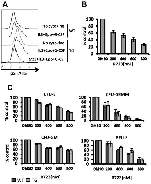 Figure 2. R723 inhibits JAK/STAT signaling and growth of JAK2V617F harboring hematopoietic cells. (A) BM cells from WT or V617F-TG mice were harvested and cultured without serum for 3 hours. Cells were incubated with vehicle or R723 for 1 hour, followed by the stimulation with IL-3, EPO, and G-CSF for 15 minutes. Mac-1/Gr-1+ myeloid cells were analyzed for levels of STAT5 phosphorylation by flow cytometry. One representative experiment of 3 is shown. (B) Effects of R723 on EPO-independent CFU-E colonies derived from V617F-TG. BM cells from V617F-TG were cultured in duplicate in methylcellulose culture medium in the absence of EPO with and without R723. The number of CFU-E colonies was counted on day 3. R723 treatment significantly suppressed CFU-E in V617F-TG. Three independent experiments were performed. Data are presented as means ± SE. (C) Effects of R723 on cytokine-dependent BM colonies derived from WT and V617F-TG mice. BM cells from WT and V617F-TG mice were cultured in cytokine-containing methylcellulose with and without R723. The number of CFU-E colonies was counted on day 3 (top left). The numbers of CFU-GEMM (top right), CFU-GM (bottom left), and BFU-E (bottom right) colonies were counted on day 7. R723 inhibited the cytokine-dependent colonies (CFU-E, CFU-GEMM, CFU-GM, and BFU-E) derived from both WT and V617F-TG cells to the same extent. Three independent experiments were performed, each using 1 different WT mouse and 1 different V617F-TG mouse. Data are presented as means ± SE.