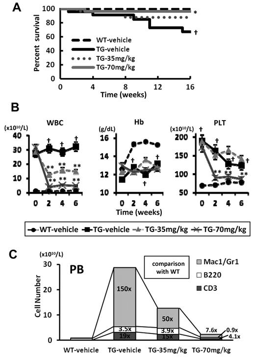 Figure 3. Survival and changes of PB of V617F-TG mice treated with R723. (A) Kaplan-Meier plot of WT mice treated with vehicle (WT-vehicle) and V617F-TG mice treated with vehicle (TG-vehicle), 35 mg/kg of R723 (TG-35mg/kg), or 70 mg/kg of R723 (TG-70mg/kg) for 16 weeks. There was a statistical difference in survival between the TG-vehicle group and the WT-vehicle group (†P < .01) and between the TG-70mg/kg group and the TG-vehicle group (*P < .05 by log-rank test). (B) Differential blood counts in WT-vehicle and TG-vehicle, TG-35mg/kg, or TG-70mg/kg treated with R723 for 6 weeks. V617F-TG mice showed severe leukocytosis and thrombocytosis at 12 weeks of age compared with age-matched WT mice (†P < .01). The leukocyte and platelet count in V617F-TG mice treated with R723 was significantly reduced compared with the TG-vehicle group (**P < .01). V617F-TG mice had anemia (†P < .01) that was not improved by R723 treatment. Data are presented as means ± SE. (C) Hematopoietic compartment of PB assessed by flow cytometry. At 18 weeks of age in the TG-vehicle group, the Mac-1/Gr-1+ myeloid cells were significantly increased in number and the B220+ B cells and CD3+ T cells were increased to a lesser extent than myeloid cells. R723 treatment for 6 weeks significantly decreased the number of Mac-1/Gr-1+ myeloid cells (P < .01) and mildly decreased the number of B220+ B cells and CD3+ T cells (P < .05). Data are means of 6 mice in each group.