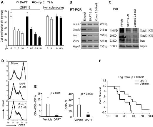 Figure 3. Pharmacologic inhibition of Notch 1 signaling suppresses in vitro growth and in vivo tumorigenesis of ZNF112 cells. (A) GSIs, DAPT, and Comp E significantly inhibit ZNF112 cell growth in vitro at micromolar concentrations. Neither DAPT nor Comp E significantly inhibited normal splenocyte viability at their GI50 dosages. (B) DAPT and Comp E at the GI50 dose inhibited expression of Notch 1 direct target genes, but not Notch1 itself. (C) The ICN (activated Notch1) expression levels were dramatically reduced after treatment with both DAPT and Comp E, as were the Notch3 and Ptera target genes. (D) Flow cytometric analysis showing that both DAPT and Comp E can inhibit cell-surface expression of the CD25 Notch1 target gene in ZNF112 cells (the left peak in each case represents the intrinsic background autofluorescence). (E) Peripheral blood CD4+/CD8+ and GFP+ cells were remarkably decreased after 3 weeks in DAPT-treated mice compared with vehicle-treated mice. (F) Treatment with DAPT can markedly prolong survival of mice transplanted with ZNF112 cells.