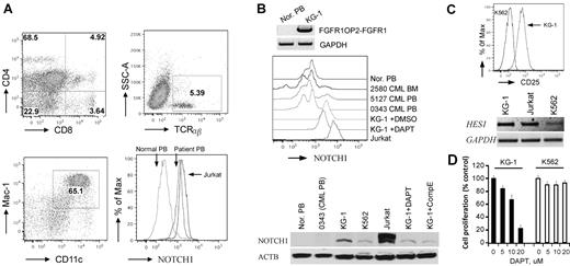 Figure 6. Notch1 is highly activated in human SCLL cells. (A) Flow cytometric analyses of PB from the 8;13 EMS showing a CD4+/CD8+ immunophenotype, with most cells expressing both CD4 and CD8 at intermediate levels (top left). Fewer TCRα+ and TCRβ+ cells (top right) were seen, as well as an increase in myeloid (Mac1+/CD11c+) cells (bottom left). Flow analysis using a Notch1 antibody labeled with RPE (AbD Serotec, clone mN1A) showing high levels of intracellular Notch1 in both the human 8;13 cells and Jurkat cells compared with the normal PB sample (bottom right). (B) Western blot analysis of KG-1 cells harboring FGFR1OP2-FGFR1 (top). Flow analysis showed higher levels of cellular Notch1 compared with normal human PB (Nor. PB) and 3 BCR-ABL–positive CML samples. Jurkat cells were used as a positive control for high Notch1 expression (middle). Western blot analysis using the V1744 antibody (bottom) demonstrates the activated form of Notch1 in KG-1 and Jurkat cells but not in normal or BCR-ABL–positive cells (bottom). KG-1 cells treated with either DAPT (5μM) or Comp E (5μM) show decreased activated Notch1. (C) KG-1 cells express higher CD25 levels on the cell surface (top) as well as Hes1 gene expression (bottom) compared with K562 cells. (D) GSI DAPT can remarkably inhibit KG-1 cell growth (right), whereas K562 cells are relatively resistant to the drug treatment.