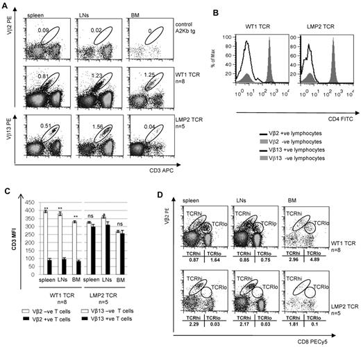 Figure 3. WT1 specific T cells persist in the periphery. (A) FACS analysis of peripheral T cells in spleen, LNs, and BM of A2Kb Tg mice killed 11 weeks after transplantation with TCR-transduced Lin− A2Kb BM stem cells. Mice received untransduced stem cells (top row), WT1-TCR-transduced stem cells (middle row, n = 8), or LMP2-TCR–transduced stem cells (bottom row, n = 5). Viable lymphocytes were stained with anti-CD3, and anti–human Vβ2.1 (WT1-TCR) and anti–human Vβ13 (LMP2-TCR) antibodies before FACS analysis. Percentages of Vβ2.1+ and Vβ13+ cells in total CD3+ cells are indicated. (B) FACS analysis of splenocytes isolated from A2Kb Tg mice transplanted with Lin− A2Kb BM stem cells transduced with the lentiviral WT1-TCR or LMP2-TCR vector. Splenocytes were stained with anti–murine CD3, CD4, and CD8 antibodies together with anti–human Vβ2.1 and anti–human Vβ13. (C) Cell surface CD3/TCR complex expression levels in peripheral T cells were determined by FACS analysis after staining with anti-CD3, and anti–human Vβ2.1 and anti–human Vβ13 antibodies. CD3/TCR expression levels of the WT1-TCR (self-reactive) and the LMP2-TCR (non–self-reactive) were compared with endogenous polyclonal T cells derived from transplanted stem cells (Vβ2.1− and Vβ13−, respectively). Data are mean ± SD of CD3 mean fluorescence intensity (MFI; n = 8 mice for WT1-TCR and n = 5 mice for LMP2-TCR). *P < 0.05, 1-way ANOVA. **P < .01, 1-way ANOVA. (D) Modulation of TCR and/or CD8 expression was determined by FACS analysis of peripheral T cells of spleen, LNs, and BM stained with anti-CD8, and anti–human Vβ2.1 (WT1-TCR, n = 8) and anti–human Vβ13 (LMP2-TCR, n = 5) antibodies. After gating on viable CD3+ cells, percentages of TCRhi and TCRlo populations are indicated. All recipient mice were A2Kb and received TCR-Td A2Kb stem cells.