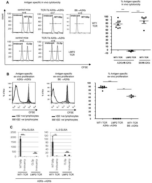 Figure 5. WT1 specific T cells display peptide-specific effector function. (A) In vivo cytotoxicity of CFSE-labeled peptide-loaded target cells. A2Kb Tg mice, 11 weeks after transfer of BM stem cells transduced with the WT1-TCR (top panel, n = 7 A2Kb → A2Kb, n = 5 B6 → A2Kb) or LMP2-TCR (bottom panel, n = 4 A2Kb → A2Kb) were intravenously injected with a 1:1 mix of relevant: irrelevant peptide-loaded A2Kb Tg splenocytes, differentially labeled with CFSE (WT1-TCR is specific for WT126 peptide, and LMP2-TCR is specific for CLG peptide). Eighteen hours later, splenocytes of injected animals were harvested and analyzed by FACS to identify CFSE-labeled cells. Representative plots are shown. Control untreated A2Kb Tg mice were injected with CFSE-labeled peptide-loaded target cells. Summary data of in vivo cytotoxicity assays are shown on the right. Percentage antigen-specific cytototoxicity was calculated as described in “In vivo cytotoxicity assays.” ***P < .001. (B) Ex vivo proliferation of splenocytes from mice previously transplanted with WT1-TCR and LMP2-TCR-transduced A2Kb or B6 BM stem cells. Splenocytes were stimulated for 5 days with 100μM relevant or irrelevant peptide. CFSE-labeled splenocytes were analyzed by FACS for CFSE dilution after anti–human Vβ2.1 or Vβ13 antibody staining. A representative plot of pWT126-specific proliferation is shown on the left. Summary data of ex vivo proliferation assays using T cells harvested from mice transplanted with WT1-TCR (n = 8 A2Kb → A2Kb, n = 3 B6 → A2Kb) and LMP2-TCR (n = 5 A2Kb → A2Kb) transduced BM stem cells is shown on the right. **P < .01, ***P < .001. (C) Splenocytes harvested from A2Kb mice transplanted with WT1-TCR and LMP2-TCR-transduced A2Kb BM stem cells were stimulated ex vivo with 100μM relevant or irrelevant peptide for 5 days. ELISAs were performed to detect antigen-specific IFN-γ and IL-2 secretion. ns indicates not significant.