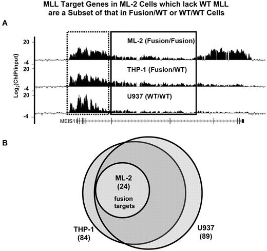 Figure 2. MLL target genes in Fusion/Fusion cells are a subset of that in Fusion/WT or WT/WT cells. (A) Detection of MLL binding using ChIP-chip at the MEIS1 locus. Cross-linked chromatin from ML-2, U937, THP-1 cells was immunoprecipitated with the MLL antisera separately. The Ab precipitated DNA and the input DNA were labeled with Cy5 and Cy3, respectively, and hybridized to a customized NimbleGen array containing the entire gene loci of 144 genes (see “Analysis of ChIP-chip data”). The level of MLL protein enrichment is shown as Log2(ChIP/input). The promoter and 5′ gene region of MEIS1 is boxed by a dotted line, and the 3′ gene region is boxed by solid line. (B) The genomic loci of 144 human genes were examined for enrichment of MLL protein binding using the customized NimbleGen array. MLL target genes identified in ML-2 (Fusion/Fusion), THP-1(Fusion/WT), and U937 (WT/WT) cells were compared.