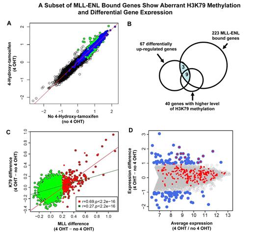 Figure 5. A subset of MLL-ENL–bound genes exhibits aberrant H3K79 methylation and differential gene expression. (A) Identification of genes with differential methylation level of H3K79 in MLL-ENL activated and inactivated conditions. The level of H3K79 methylation under 4-OHT and no 4-OHT conditions is plotted for each of 16 644 genes tiled on the array. Blue dots represent 2568 H3K79 target genes identified in the MLL-ENL inactivated condition. Green dots indicate the subset of H3K79 target genes that show differential methylation level of this histone modification (FDR < 0.25). Green dots above the diagonal line represent the 40 genes with significantly higher level of H3K79 methylation in the MLL-ENL–induced condition (FDR < 0.25) that are referred to as H3K79High_4HT genes. The green dots below the diagonal line represent the 20 genes with significantly increased levels of H3K79 methylation when MLL-ENL was inactivated (FDR < 0.25), that are referred to as H3K79High_no4HT genes. (B) The set of 223 MLL-ENL–bound genes (Figure 4B) is compared with differentially up-regulated genes (panel D) and genes with higher level of H3K79 methylation (Figure 5A) in the MLL-ENL–induced condition. The shaded area indicates 12 MLL-ENL–bound genes with differential expression. (C) Correlation between MLL differential binding and differential H3K79 methylation. For each MLL target gene, the difference in MLL binding strength and the differences in the level of H3K79 methylation between 4-OHT and no 4-OHT conditions were calculated. Red dots represent 223 MLL-ENL target genes (Figure 4B), with the red line showing the regression line of MLL binding difference to methylation difference for 223 MLL-ENL target genes (Pearson correlation, r = 0.69). Green dots are 2513 MLL wild-type–bound genes eliminating 223 MLL-ENL target genes, with the green line showing the regression line (Pearson correlation, r = 0.27). (D) Identification of 12 MLL fusion-regulated genes. Average gene expression is plotted against the difference in gene expression between MLL-ENL induced and inactivated conditions. All 7858 expressed genes detected by Affymetrix Mouse Exon 1.0 ST Array are displayed. Blue dots represent 124 differentially expressed genes (67 up-regulated, 57 down-regulated, FDR < 0.05) on induction of MLL-ENL. The set of 223 MLL fusion-bound genes, shown as the red dots, are overlaid with 124 differentially expressed genes, and the overlapped blue and red dots indicate 12 MLL fusion target genes exhibiting significant increase in mRNA expression in the presence of MLL-ENL.