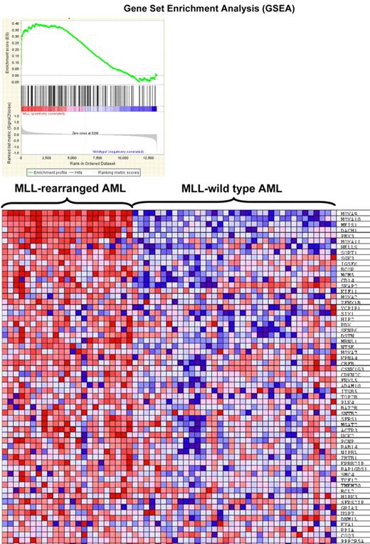Figure 6. Gene set enrichment analysis. Gene set enrichment analysis (GSEA) of gene expression in human MLL-rearranged AML (n = 23) compared with MLL–wild-type AML (n = 56; Ross et al26) using 223 MLL fusion protein-bound genes. (Top) GSEA enrichment plot, ES = 0.4, P = .006. (Bottom) The top 60 genes showing increased expression in human MLL-rearranged leukemias.