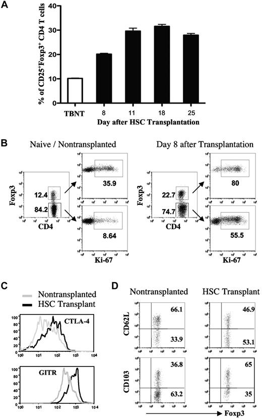 Figure 3. Expansion of CD4+CD25+Foxp3+ T cells after treatment of tumor-bearing mice with HSC transplantation and posttransplantation vaccination. Irradiated tumor-bearing mice received a transplantation of bone marrow supplemented with 3 × 106 T cells from tumor-bearing donors. The recipients were given 3 vaccines with irradiated AGN2a-4P cells as shown in Figure 1. Spleens were harvested on day 8, 11, 18, or 25 after transplantation and analyzed by flow cytometry. (A) The percentages of splenic CD25+Foxp3+ CD4 T cells were determined at each time point. (B) Foxp3+ and Foxp3− CD4 T cells were analyzed for Ki-67 expression on day 8 after transplantation. Nontumor-bearing (naive) nontransplanted mice were included as controls. The numbers indicate percentages of cells in the respective quadrants. (C) Fluorescence histograms depicting cytolytic T lymphocyte–associated antigen-4 and GITR expression on electronically gated CD4+Foxp3+ splenocytes harvested on day 8 after transplantation. Naive nontransplanted mice were included as controls. (D) Expression of L-selectin and CD103 on gated CD4+Foxp3+ splenocytes harvested from HSC recipients on day 8 after transplantation or naive nontransplanted mice. The data are representative of at least 2 separate experiments with similar results.