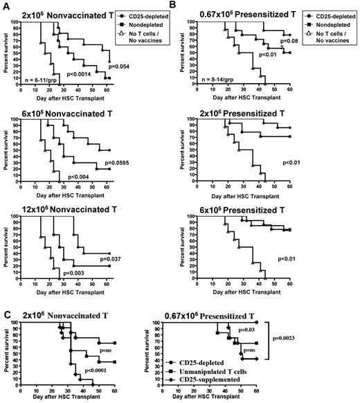 Figure 4. In vitro depletion of CD25+ T regulatory cells from adoptively transferred T cells enhances antitumor immunity. Tumor-bearing recipients (as in Figure 1) were imaged on day −1 to assess AGN2a-Rluc bioluminescence intensity. This allowed us to ensure that all mice in the experiments had comparable tumor burden levels before HSC transplantation and immunotherapy. (A) Survival curves for tumor-bearing recipients given HSC grafts consisting of 5 × 106 bone marrow cells plus the indicated number (2 × 106, 6 × 106 or 12 × 106) of nondepleted or CD25-depleted T cells from tumor-bearing nonvaccinated donors. The recipients were vaccinated as in Figure 1. A group of tumor-bearing recipients given bone marrow cells only (no T cells or vaccines) was included as controls. (B) Same experiment as panel A except the T cells coadministered with the graft were from tumor-bearing vaccinated (presensitized) donors. (C) Survival curves for tumor-bearing recipients given HSC grafts consisting of bone marrow cells plus 2 × 106 unmanipulated T cells, CD25-depleted T cells, or T cells plus added CD25+ cells (at a 1:2 CD25+cell-to-T cell ratio; CD25-supplemented) from tumor-bearing nonvaccinated donors; or (C right panel) 0.67 × 106 unmanipulated T cells, CD25-depleted T cells, or T cells plus added CD25+ cells (at a 1:2 CD25+cell-to-T cell ratio; CD25-supplemented) from tumor-bearing vaccinated (presensitized) donors. The recipients were vaccinated as in Figure 1. Survival curve comparisons were done using the log-rank test. The data represents the combined results of 3 independent experiments with a combined 10-15 mice per group.