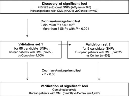 Figure 1. Work flow.