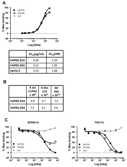 Figure 1. Purified hAPRIL.01A and hAPRIL.03A bind APRIL with high affinity to APRIL and block binding to its receptors BCMA and TACI. (A) An ELISA in which soluble FLAG-hAPRIL was captured by rabbit anti-FLAG antibody and reactivity for purified Aprily-5 (A-5), hAPRIL.01A (hA.01A) and hAPRIL.03A (hA.03A) purified was measured. 50% effective concentration values were extrapolated from this ELISA. (B) Binding constants and equilibrium constants for both antibodies were analyzed using bio-light interferometry using the Octet system. (C) ELISA to examine the ability of hAPRIL.01A and hAPRIL.03A to block the binding of soluble FLAG-hAPRIL to adsorbed BCMA-Fc or TACI-Fc (both coated at 0.5 μg/mL). Aprily-5, a nonantagonistic anti-APRIL antibody, was used as a control. Antibodies were titrated by 5-fold dilution steps starting from 5 μg/mL.