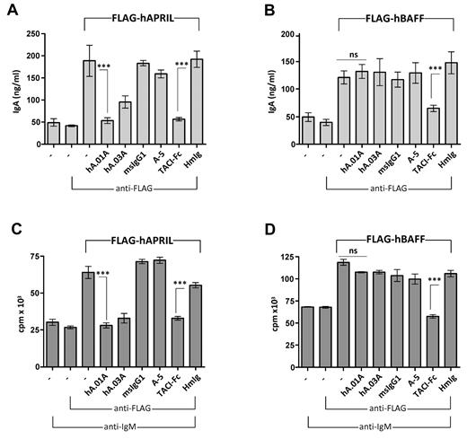 Figure 2. hAPRIL.01A and hAPRIL.03A block APRIL driven IgA production and proliferation of mouse B cells. Mouse B220+ B cells were stimulated with conditioned medium containing soluble FLAG-hAPRIL (A) or soluble FLAG-hBAFF (B) for 6 days and the supernatants assayed by ELISA for IgA production. The same cells were treated with anti-IgM (5μg/mL), costimulated with medium containing FLAG-hAPRIL (C) or soluble FLAG-hBAFF (D) for 2 days and pulsed with tritiated thymidine for 18 hours before harvesting. Cross-linking condition (via the addition of anti-FLAG antibody) was used to optimize the APRIL and BAFF signal. Aprily-5 (A-5) was used as a nonantagonistic control, mouse IgG1 (msIgG1) was used as an isotype control for hA.01A/hA.03A and human IgG (HmIg) as control for TACI-Fc. Each sample was analyzed in triplicate. ***P < .001, 1-way ANOVA; error bars = SD.