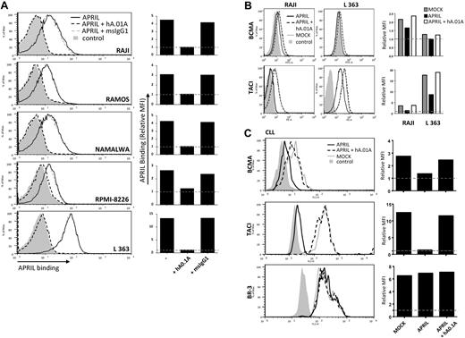 Figure 5. hAPRIL0.1A prevents APRIL binding to lymphoma cell lines and its survival effect on peripheral blood–derived CLL cells. (A) Five different lymphoma cell lines are shown to bind APRIL (black line) and this effect is blocked by hAPRIL0.1A (black dashed line). (B) The highest TACI/BCMA expressing cell lines (RAJI and L363, supplemental Figure 2) were screened for receptor detection after 24 hours incubation in the absence or presence of FLAG-hAPRIL. Loss of receptor detection after FLAG-hAPRIL stimulation is fully prevented when hAPRIL.1A is added to the overnight culture. (C) TACI and BCMA in cytosine guanine dinucleotide treated CLL (CLL 2, supplemental Figure 3) are down-regulated by the binding of FLAG-hAPRIL. hAPRIL.01A (hA.01A) blocks FLAG-hAPRIL binding and therefore blocks receptor down regulation of TACI and BCMA. BR-3 is taken along as a nonAPRIL binding control. (D) cytosine guanine dinucleotide treated CLL cells expressing both TACI and BCMA (CLL 2, supplemental Figure 3) were cultured in the absence or presence of FLAG-hAPRIL and tested for cell survival at different time-points. The effect of hAPRIL.01A was analyzed on control (MOCK) and FLAG-hAPRIL treated cells (APRIL). Each sample was analyzed in triplicate; ***P < .001 1-way ANOVA; error bars = SD. (E). Apoptosis of CLL cells measured after 3 and 8 days in the absence or presence of APRIL and in the presence of APRIL plus hAPRIL01.A. Apoptosis is measured using annexinV staining and counterstaining for dead cells (late apoptotic) with 7-AAD. (F). Representative pictures (magnified 5×) of the cells treated as indicated in panel D. Experiments (A-C) are accompanied by histograms that represent the relative mean fluorescence intensity (MFI) determined by the ratio between the background and the specific MFI. Basal value (MFI = 1) is pointed out by the gray dotted line.