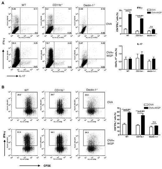 Figure 3. CD4 T-cell differentiation and CD8 priming and differentiation stimulated by β-glucan–activated DCs. (A) OVA Tg CD4+ T cells were cocultured with BMDCs from WT, CD11b−/− or dectin-1−/− mice in the presence or absence of OVA and β-glucans. CD4+ T cells cultured with β-glucans were used as controls. Percent of CD4+IFN-γ+ cells and CD4+ IL-17+ cells is shown (n = 4). (B) CFSE-labeled OVA Tg CD8+ T cells were cultured together with BMDCs in the presence of OVA and β-glucan. CD8+ T cells cultured with β-glucans were used as controls. Graphs show CFSE dilution versus intracellular IFN-γ on day 3 of culture. Percent of CD8+IFN-γ+ cells is shown (n = 4).