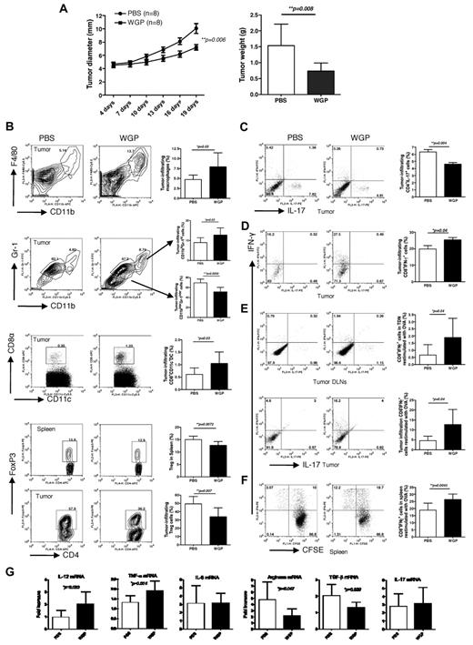 Figure 4. Particulate β-glucan treatment significantly reduces tumor burden with enhanced antitumor immunity. (A) Groups of WT mice were implanted subcutaneously with EO771/OVA tumor cells. After palpable tumors formed, mice were treated daily with or without particulate β-glucan for 2 weeks. Tumor diameter was recorded at the indicated time. Tumor mass was weighted when mice were killed. (B) Single cell suspensions prepared from tumor samples or spleen as indicated were stained with fluorochrome labeled mAbs. Summarized data are shown. (C-D) Single cell suspensions from tumors were stimulated with PMA plus ionomycin and stained intracellular IFN-γ and IL-17. Cells were gated on CD4+ (C) or CD8+ (D) T cells. (E) Single cell suspensions from tumors or tumor DLNs were stimulated with ovalbumin and intracellular IFN-γ staining was performed. (F) Splenocytes were labeled with CFSE and then stimulated with ovalbumin. Graphs show CFSE dilution versus intracellular IFN-γ production. (G). RNAs from tumor specimens were extracted and qRT-PCR was performed for the indicated cytokines and arginase.