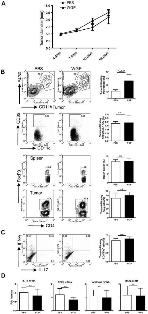 Figure 5. Dectin-1–deficient completely abrogates particulate β-glucan–mediated antitumor therapeutic efficacy. (A) Groups of dectin-1−/− mice were implanted subcutaneously with EO771/OVA tumor cells. After palpable tumors formed, mice were treated daily with or without particulate β-glucan for 2 weeks. Tumor diameter was recorded at the indicated time. (B) Single cell suspensions prepared from tumor samples or spleen as indicated were stained with fluorochrome labeled mAbs. Summarized data are shown. (C) Single cell suspensions from tumors were also stimulated with PMA plus ionomycin and stained intracellular IFN-γ and IL-17. Cells were gated on CD8+ T cells. (D) RNAs from tumor specimens were extracted and qRT-PCR was performed for the indicated cytokines and arginase.