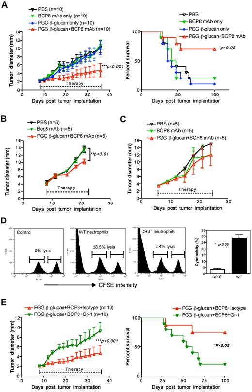 Figure 6. Soluble β-glucan augments antitumor monoclonal antibody-elicited therapeutic efficacy. (A) Groups of WT mice were implanted subcutaneously with RMA-MUC1, after 7 days, to allow tumor formation, were treated with different regimens. Both tumor progression and tumor-free survival were monitored. (B) Dectin-1−/− or (C) C3−/− mice were implanted with RMA-MUC1 tumor cells. After tumors were formed, mice were subject to different treatment as indicated. Tumor diameter was recorded at the indicated time. (D) Neutrophils were marginated from WT and CD11b−/− mice treated with soluble PGG β-glucan for 1 week. iC3b-opsonized tumor cells and un-opsonized tumor cells were labeled with a different intensity of CFSE and mixed at a 1:1 ratio and incubated with neutrophils. Percent of cytotoxicity is shown. (E) WT mice treated with soluble PGG β-glucan in combination with antitumor mAbs were preinjected with anti–Gr-1 monoclonal antibody to deplete neutrophils or isotype the control monoclonal antibody. Tumor diameter and tumor-free survival were monitored.