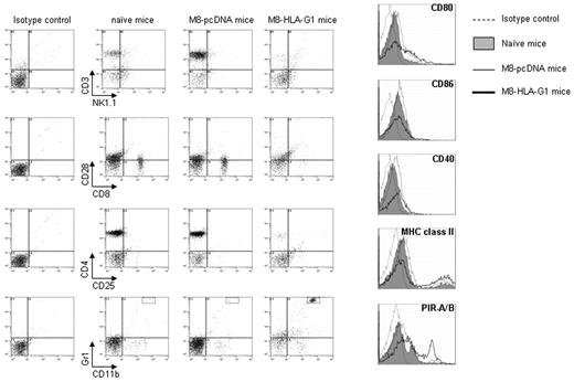 Figure 4. Loss of T cells and emergence of MDSCs in the peripheral blood of mice injected with M8-HLA-G1 tumor cells. Mice were killed after they rejected tumors completely (day 17). After purification of mononuclear cells from the peripheral blood, cells were stained with the indicated antibodies and analyzed by flow cytometry. Data are from 1 representative experiment of 3.