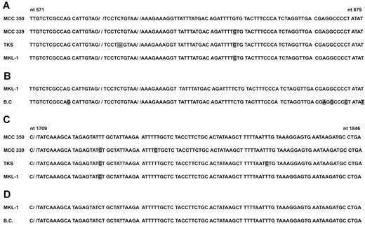 Figure 1. MCPyV DNA sequence analysis and alignment of MCPyV Tag nucleotide sequences. (A,C) nt 571 to 879 and nt 1709 to 1846 from the MCC350 strain, respectively, compared with the MCC339, United States isolate, the TKS Japanese isolate, and the MKL-1 Swedish strain. Nucleotide substitutions/deletions (−) in different MCPyV strains are marked in gray. (B,D) nt 571 to 879 and 1709 to 1846 from the MKL-1 strain, respectively, compared with sequences obtained from buffy coats (B.C.). Seven of 10 DNA samples from B.C. contain a single nucleotide substitution, which is cumulatively marked in gray in the same sequence (B, B.C.).