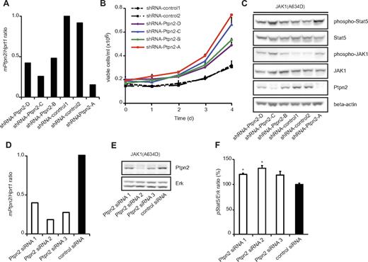 Figure 4. Ptpn2 modulates the oncogenic transformation of JAK1(A634D)-expressing Ba/F3 cells in a dose-dependent manner. (A) Quantitative real-time PCR analysis of Ptpn2 transcript levels in JAK1(A634D) mutation–positive Ba/F3 cells carrying 6 different shRNA constructs. Hprt1 was used for normalization of expression values and the y-axis displays Ptpn2/Hprt1 ratios. (B) JAK1 mutation–positive Ba/F3 cells cotransduced with the indicated shRNA constructs were deprived of IL-3 and cell growth was monitored every 24 hours for 4 days. Independent of the knockdown efficiency of Ptpn2, cell lines with reduced Ptpn2 expression (shRNA-Ptpn2) transformed appreciably faster to cytokine independence compared with the 2 control cell lines (shRNA-control). Differences in latency among the 4 cell lines carrying Ptpn2-targeting shRNA constructs were correlated with knockdown efficiency. (C) Protein blot analysis of transformed cell lines showed enhanced JAK/Stat activation in cells with a reduced amount of Ptpn2 protein. β-actin was used as an independent loading control. (D) Quantitative real-time PCR analysis of Ptpn2 transcript levels in JAK1(A634D) mutation–positive Ba/F3 cells after 48 hours of electroporation with various siRNAs. Hprt1 was used for normalization of expression values. The x-axis displays Ptpn2/Hprt1 ratios. (E) Knock-down efficiency of applied siRNAs was confirmed by protein blot analysis. Erk is shown as loading control. (F) STAT5 phosphorylation was determined in JAK1(A634D) Ba/F3 cells electroporated with different Ptpn2-targeting siRNAs or a control siRNA. Absorption values were normalized for total Erk. Bar graph shows the relative changes compared with control cells (mean values ± SEM). *P < .05.