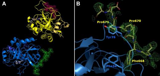 Figure 4. High-resolution crystal structure of the thrombin FPR–α-thrombin·FVa2 complex. (A) The 2 thrombin monomers in the asymmetric unit are represented by their secondary structure elements, colored blue and yellow, respectively. Their cognate FV peptides are given with all their nonhydrogen side chain atoms in green and pink, respectively. The FPR moieties covalently bound to thrombin active-site residues His57/Ser195 are depicted color-coded (carbon, gray; nitrogen, blue; oxygen, red). The thrombin molecule to the bottom left is shown in standard orientation, that is, macromolecular substrate residues would run from left to right in productive complexes with the proteinase. (B) Detail of the initial electron density map calculated after rigid-body refinement of the 2 thrombin molecules is shown around exosite I (contoured at 1 σ), with the final FVa2 model superimposed. The side chains of a few critical residues are labeled.