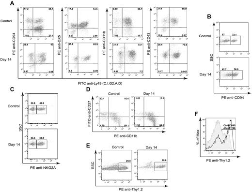 Figure 1. Phenotypic characterization of developing NK cells in CD45-congenic HSCT. Lethally irradiated B6 (H-2b, CD45.2) mice were transplanted with 5 × 106 Ly5.2 congenic (H-2b, CD45.1) BMCs depleted of NK and T cells. Splenocytes of B6 (H-2b) recipients were stained for CD45.1, NK1.1, CD3, Ly49C/I, Ly49G2, Ly49A, Ly49D, CD94, DX5, NKG2A, CD27, Thy1.2, CD11b, and CD43 at day 14 after congenic BM transplantation and compared with untreated control mice. Gated CD45.1+NK1.1+CD3− cells are shown. (A) Frequencies of NK cells positive for CD94, DX5, CD11b, and CD43. (B) Frequencies of CD94dim and CD94bright NK cells. (C) Frequencies of NK cells positive for NKG2A. (D) Proportions of NK cells expressing CD27 and CD11b. (E) Frequency of Thy1.2+ NK cells. (F) Thy1.2 density shown as MFI on control (tinted gray) and transplanted (solid dark line) mice. The numbers represent the percentages of cells positive for the mentioned markers or MFI values. Data are representative of 5 experiments using 3-4 mice per group in each experiment.