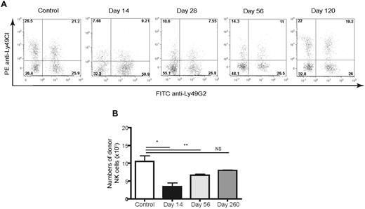 Figure 3. Long-term course of Ly49C/I and Ly49G2 expression on developing NK cells in CD45-congenic HSCT. Lethally irradiated B6 (H-2b, CD45.2) mice were transplanted with 5 × 106 Ly5.2 congenic (H-2b, CD45.1) BMCs depleted of NK and T cells. Splenocytes of B6 (H-2b) recipients were stained for CD45.1, NK1.1, CD3, Ly49C/I, and Ly49G2 at different time points after congenic HSCT and compared with untreated control mice. Gated CD45.1+NK1.1+CD3− cells are shown. (A) Frequencies of NK-cell subsets. The numbers represent the percentages of cells in each quadrant. (B) Numbers of donor-derived NK cells after HSCT. *P < .001; **P < .01. NS indicates not significant. Data are representative of 3 experiments using 3-4 mice per group per time point in each experiment (means ± SEM).
